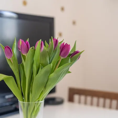 Apartmán Soska 5 *